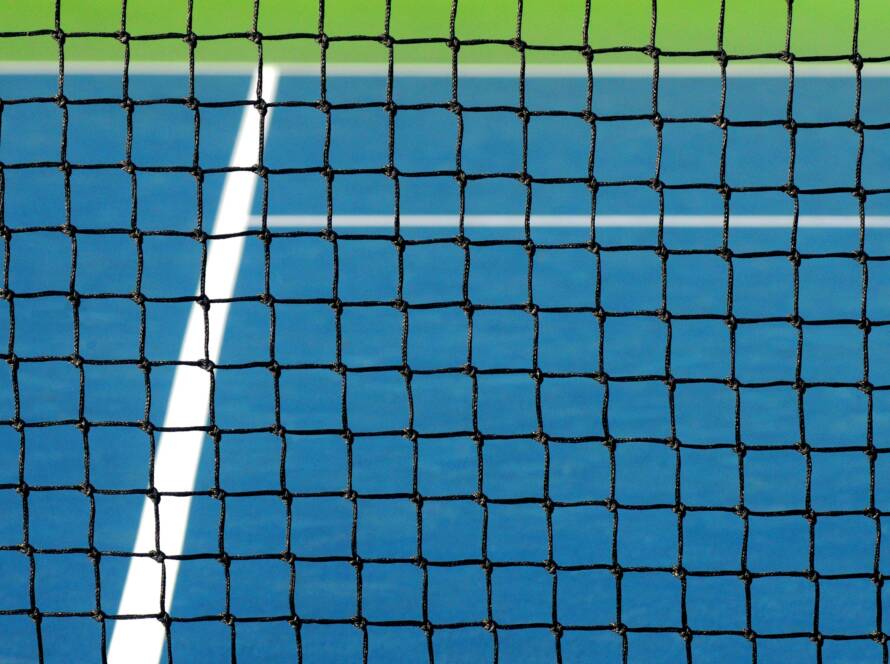 Rule the Net in Pickleball